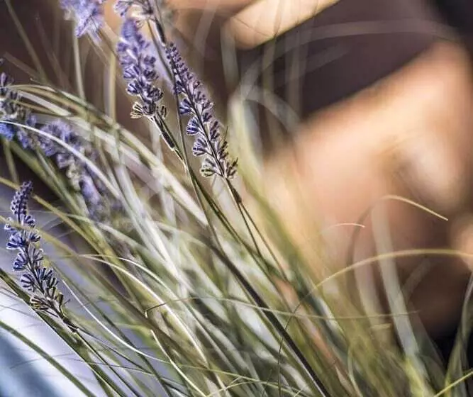 Majatalo N Ista Boutique Rooms Birkdale  Southport