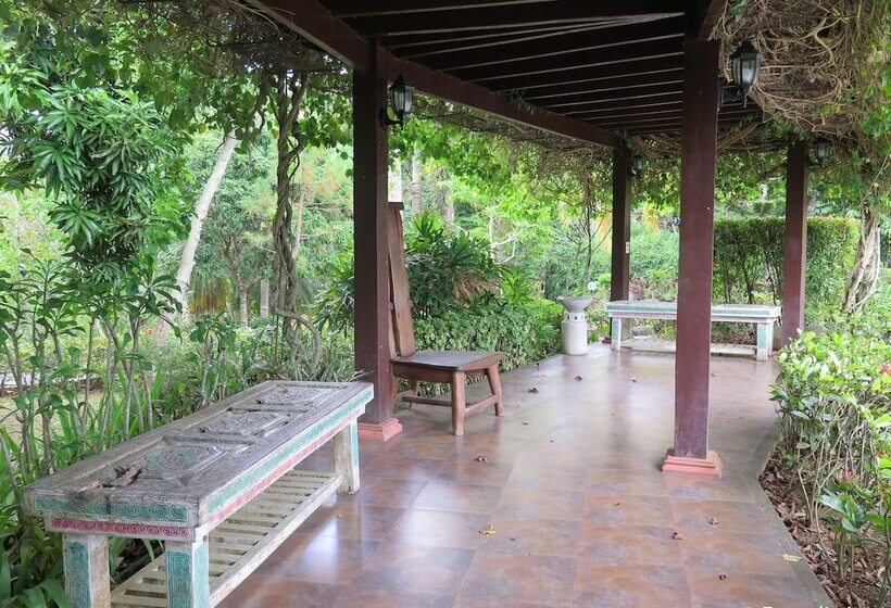 酒店 Cintai  Coritos Garden