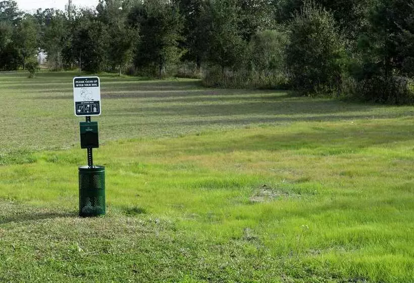 ホテル Home2 Suites By Hilton Jacksonville Airport