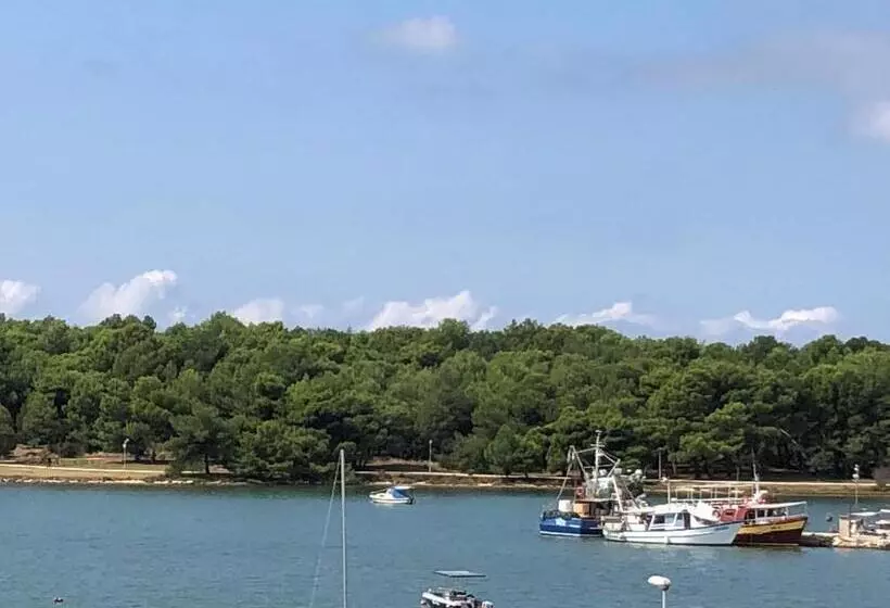 Apartment Petrovic Medulin