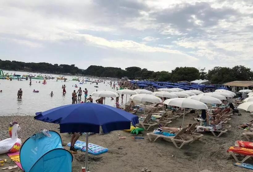 Apartment Petrovic Medulin