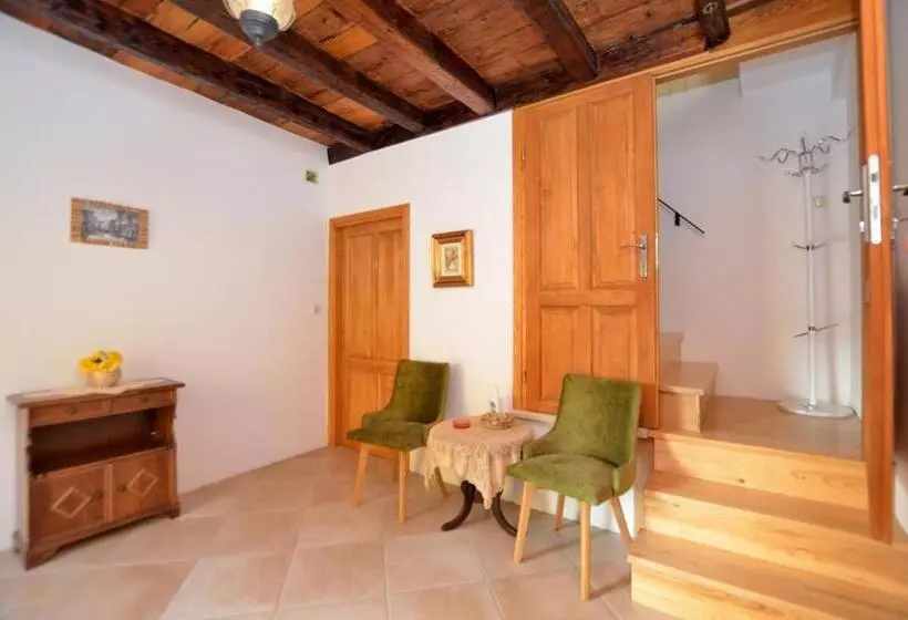 Apartment Stari Grad