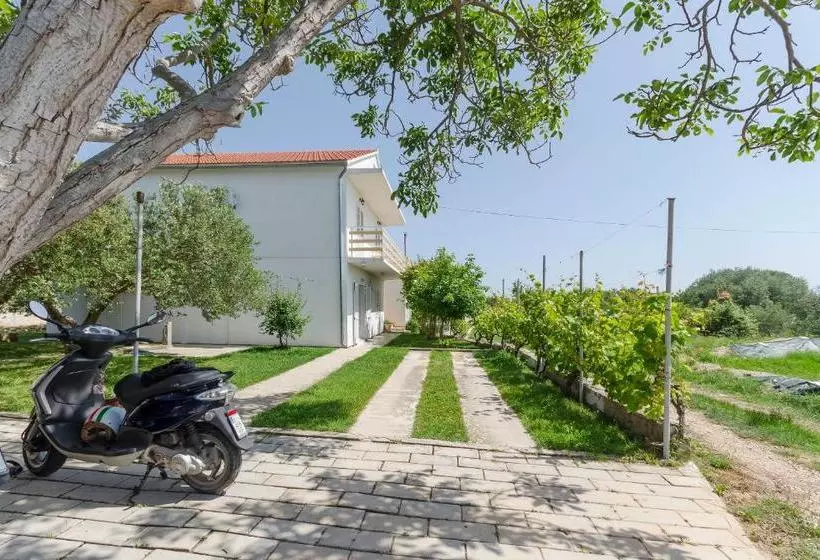 Apartment Summerteracea