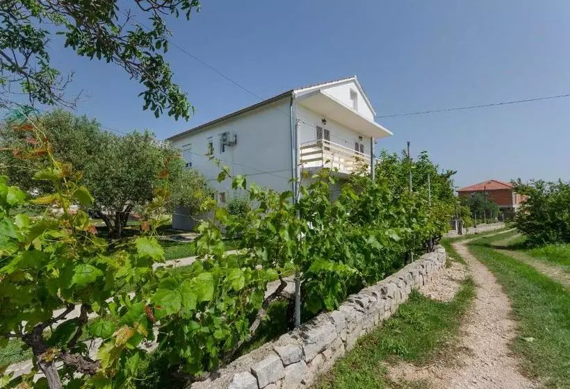 Apartment Summerteracea