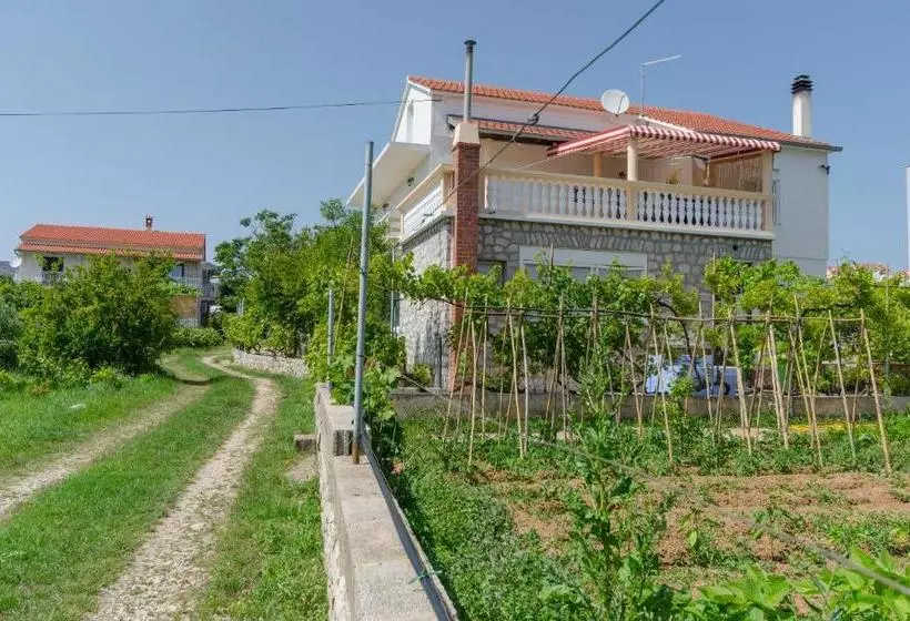 Apartment Summerteracea