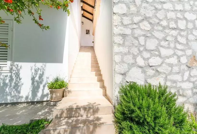 Apartment Summerteracea
