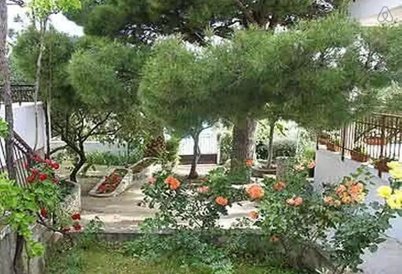 Apartments Lidija