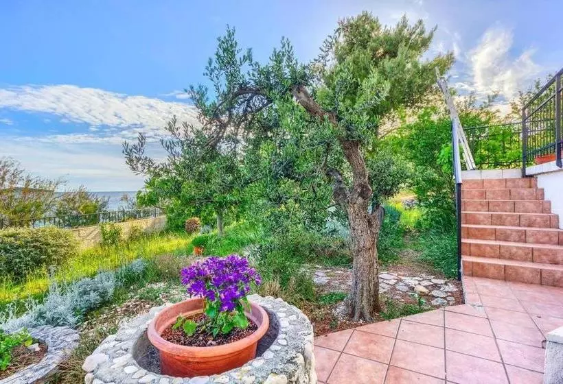 Apartments Lidija