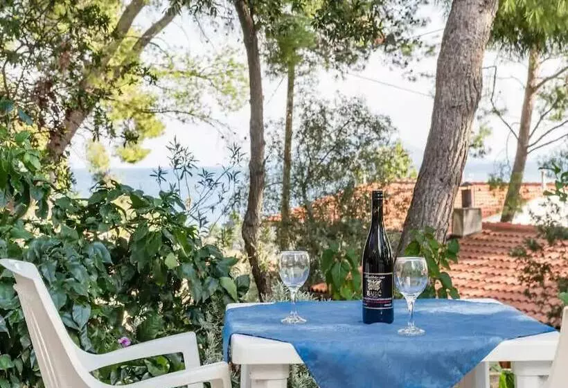 Apartments Villa Pelegrin