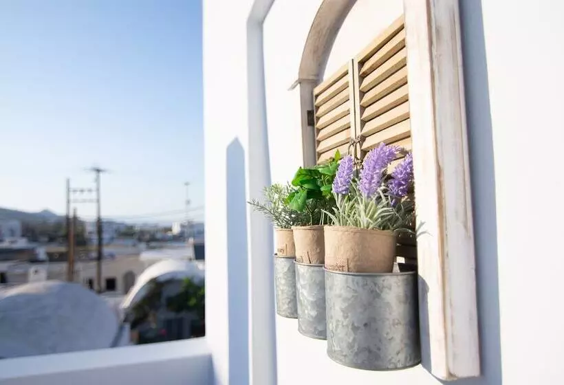 Ds Traditional Villas Santorini Island