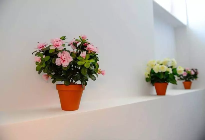 Pension Und Monteurzimmer Victoria