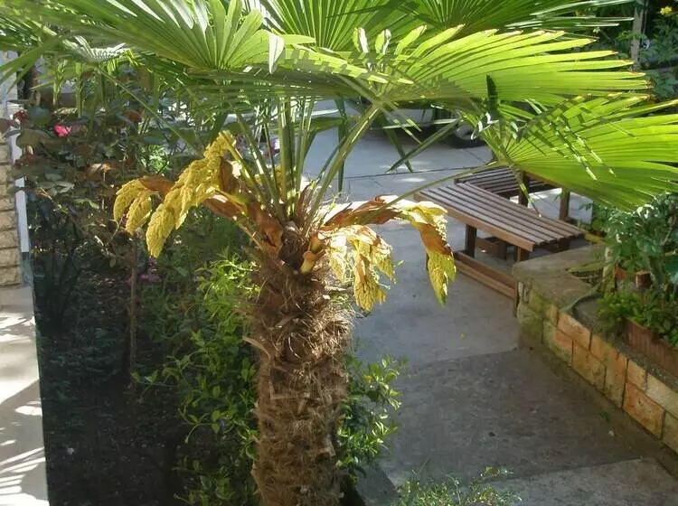 Apartment Klaudia