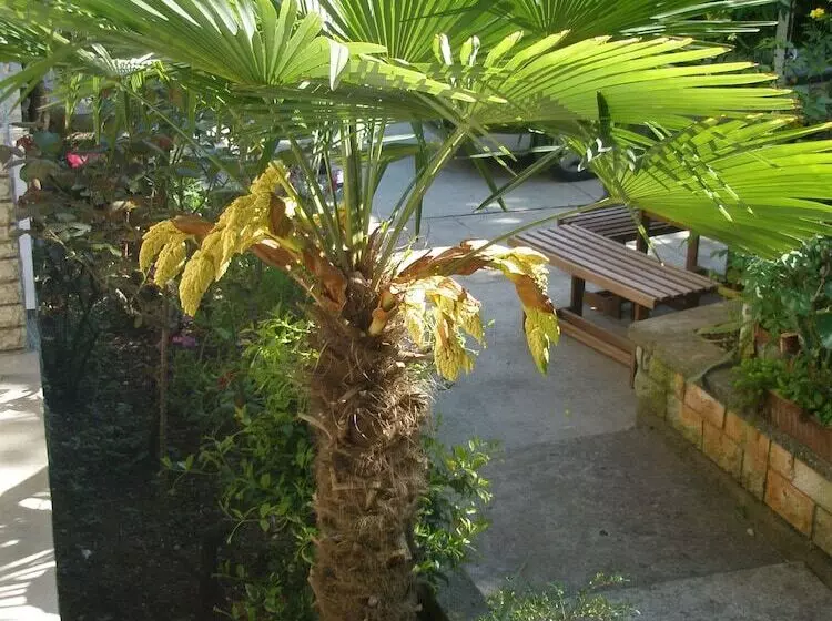 Apartment Klaudia