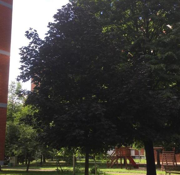 Apartment Travel Hub