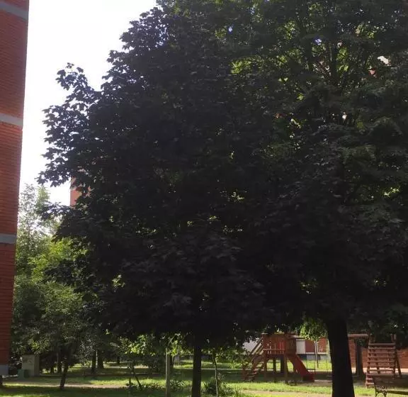 Apartment Travel Hub