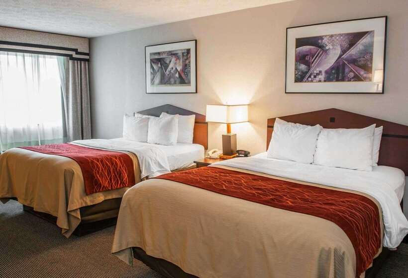 هتل Comfort Inn Indianapolis South I65