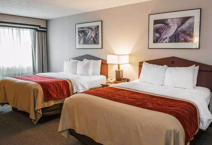 فندق Comfort Inn Indianapolis South I65