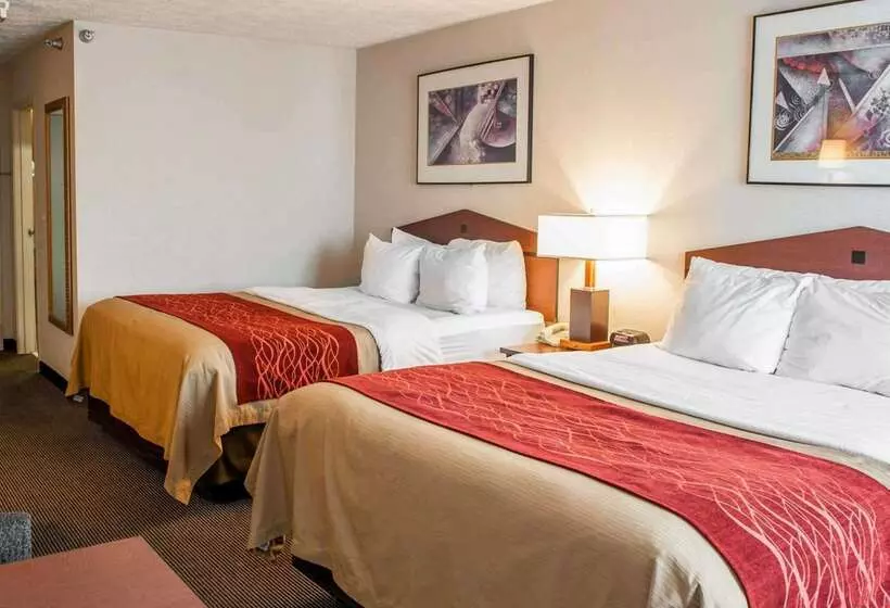 فندق Comfort Inn Indianapolis South I65