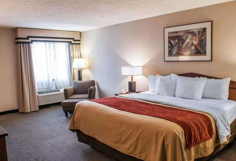 فندق Comfort Inn Indianapolis South I65