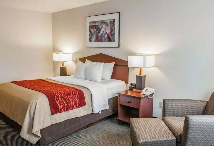 فندق Comfort Inn Indianapolis South I65