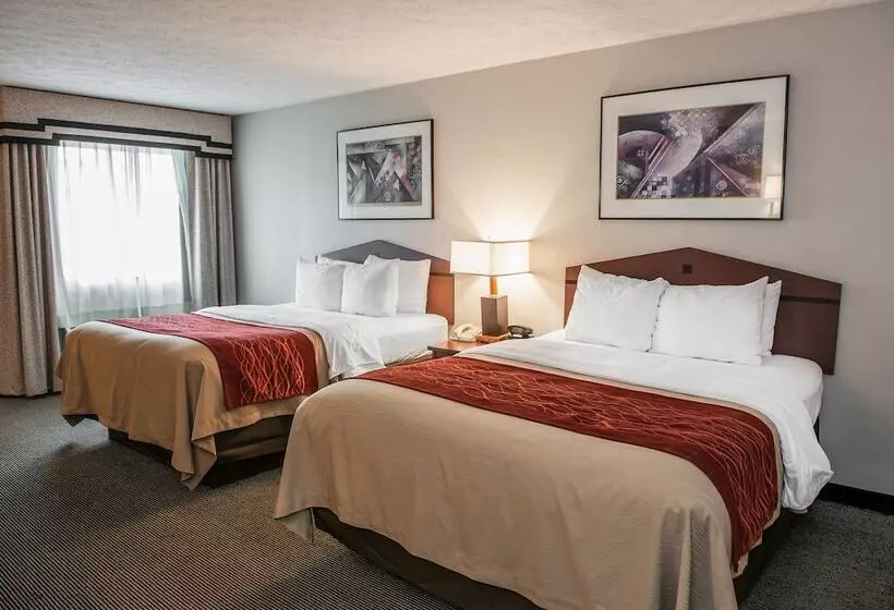 فندق Comfort Inn Indianapolis South I65