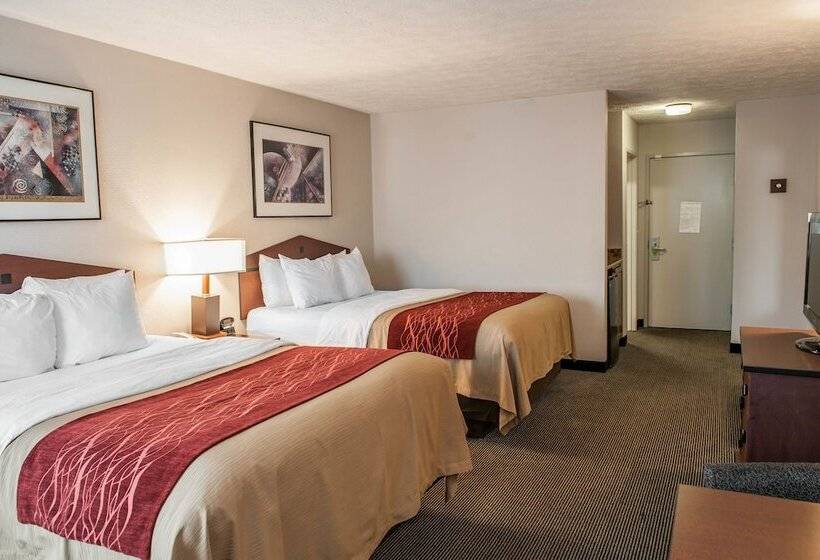 هتل Comfort Inn Indianapolis South I65