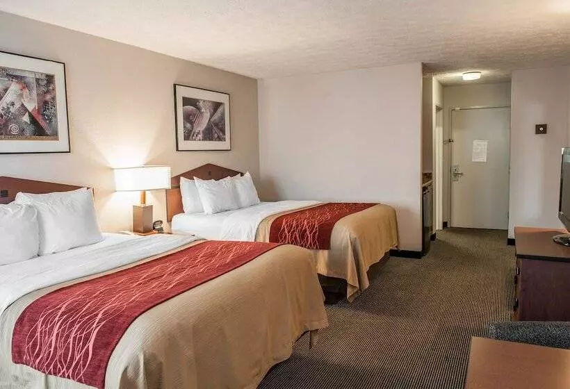 فندق Comfort Inn Indianapolis South I65