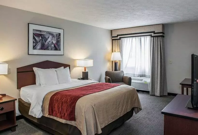 فندق Comfort Inn Indianapolis South I65