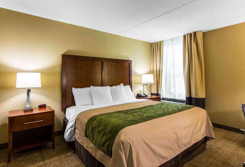 בית מלון כפרי Comfort Inn Newport News Williamsburg East