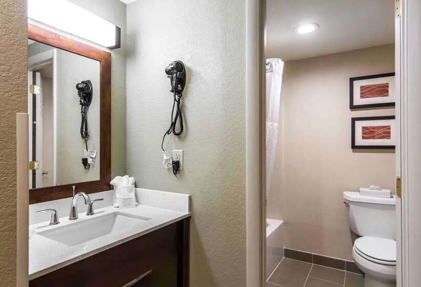 בית מלון כפרי Comfort Inn Newport News Williamsburg East