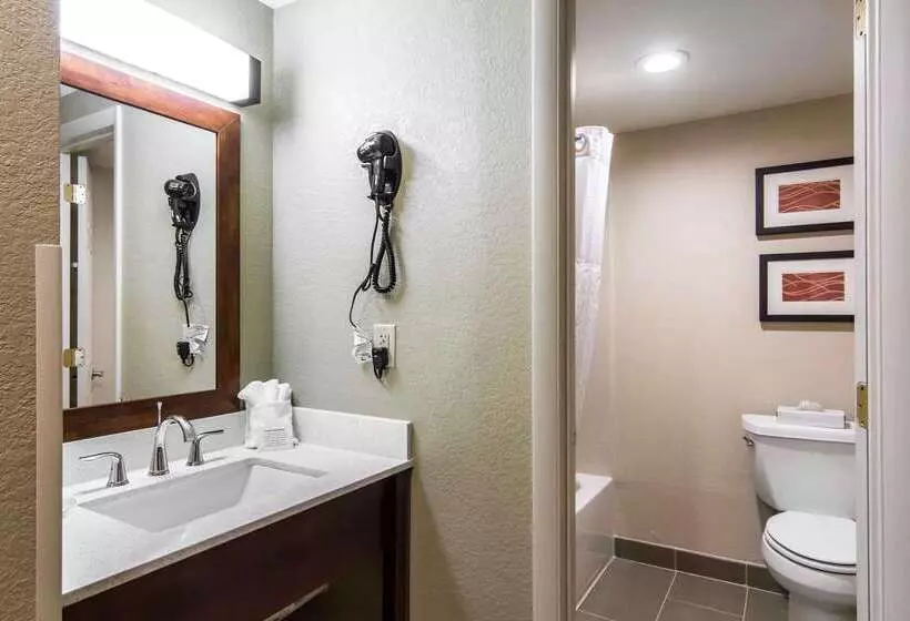 هتل Comfort Inn Newport News Williamsburg East