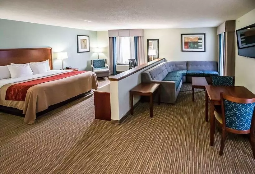 호텔 Comfort Inn