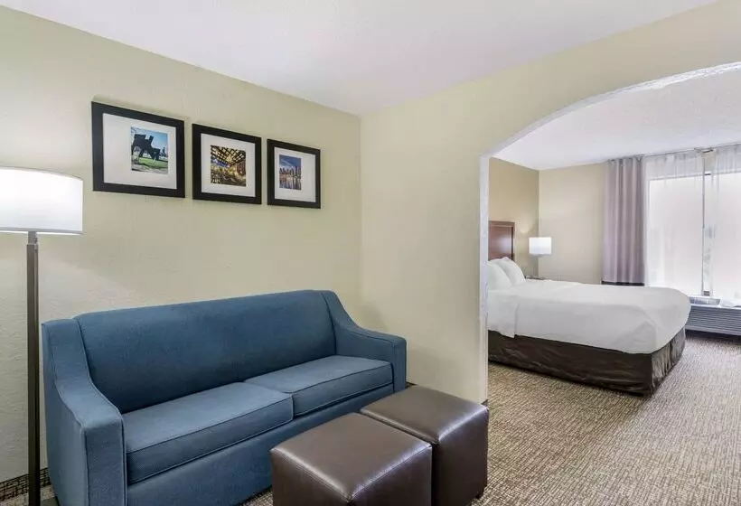 Hotel Comfort Inn & Suites
