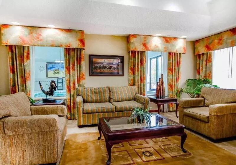 Hotel Comfort Inn & Suites