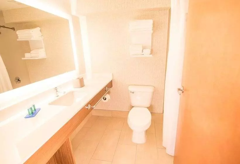 ホテル Holiday Inn Express Atlanta Stone Mountain, An Ihg