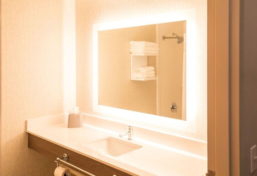 호텔 Holiday Inn Express Atlanta Stone Mountain, An Ihg