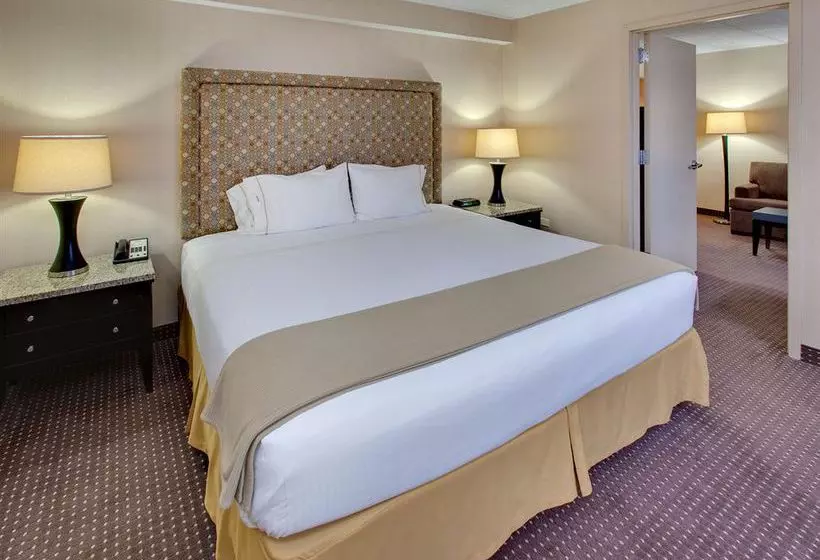 酒店 Holiday Inn Express