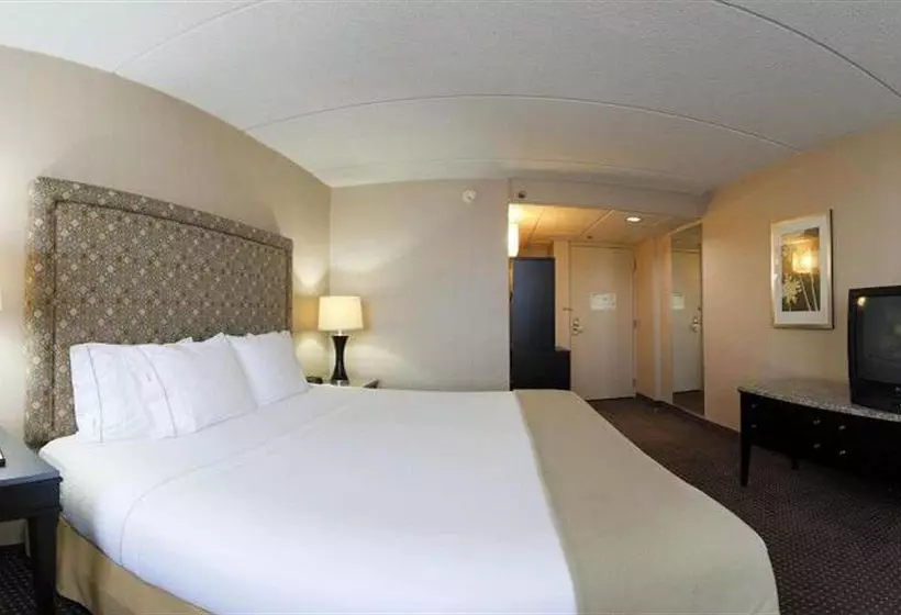 酒店 Holiday Inn Express