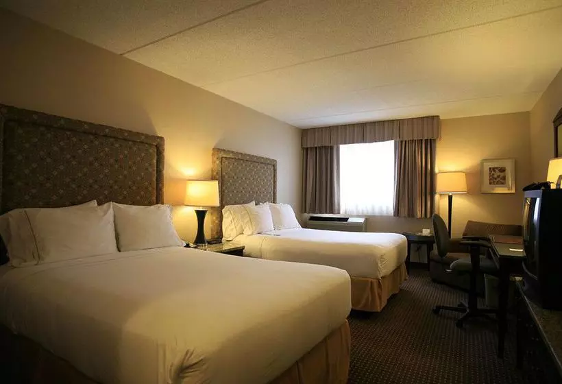 酒店 Holiday Inn Express