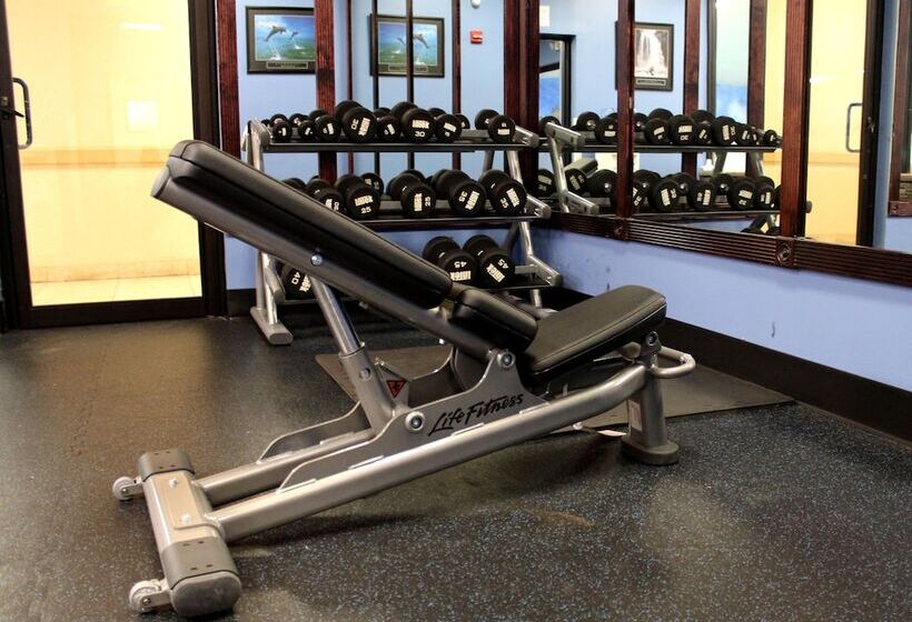 בית מלון כפרי Holiday Inn Express Stony Brook Long Island, An Ihg