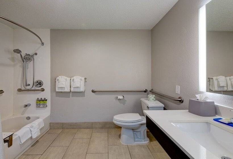 酒店 Holiday Inn Express & Suites Ashtabula Geneva, An Ihg