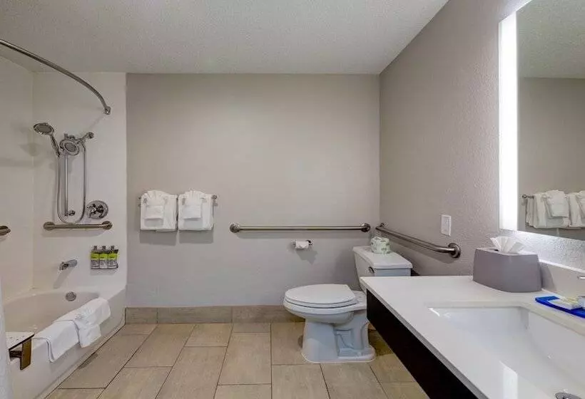 Hotel Holiday Inn Express & Suites Ashtabula Geneva, An Ihg