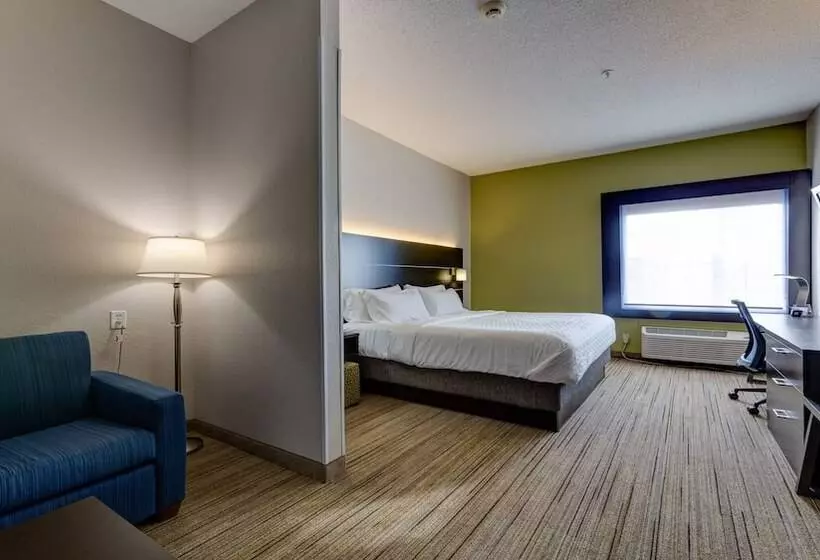 Hotel Holiday Inn Express & Suites Ashtabula Geneva, An Ihg