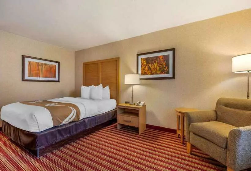 ホテル Quality Inn Exit 4