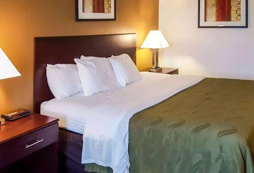 Отель Quality Inn Ozark Springfield South