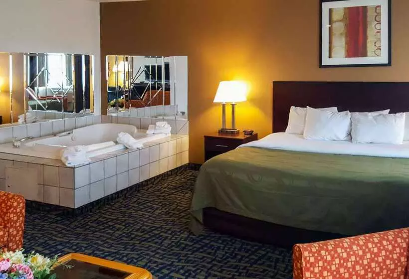 Отель Quality Inn Ozark Springfield South