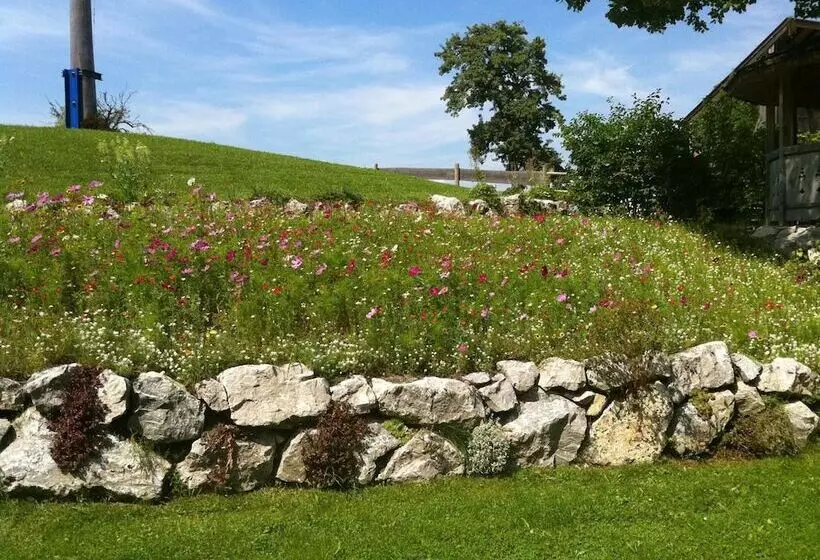 ユースホステル Landgasthof Fischbach