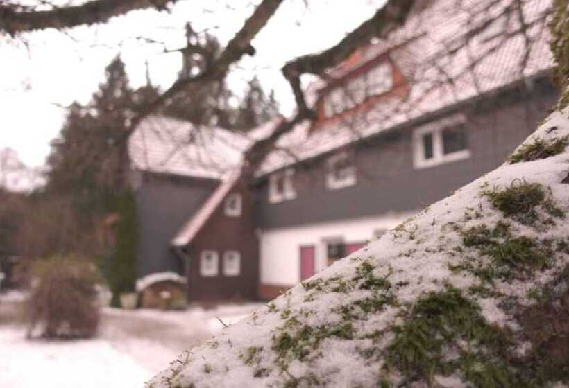 Ferienwohnungen Wiesenhof