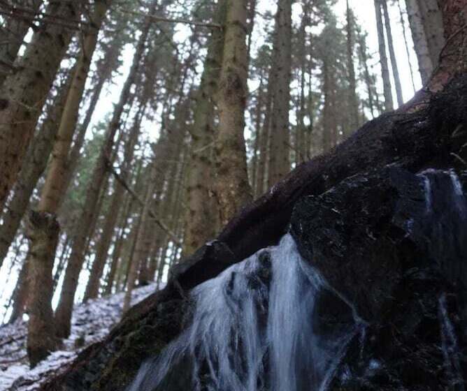 Ferienwohnungen Wiesenhof