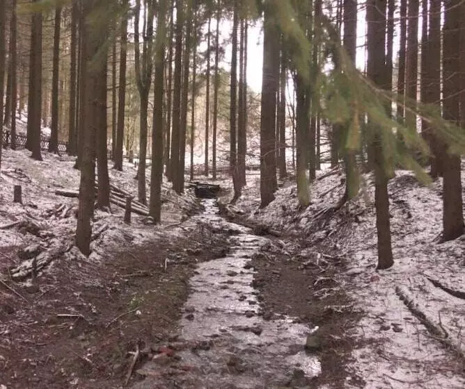 Ferienwohnungen Wiesenhof